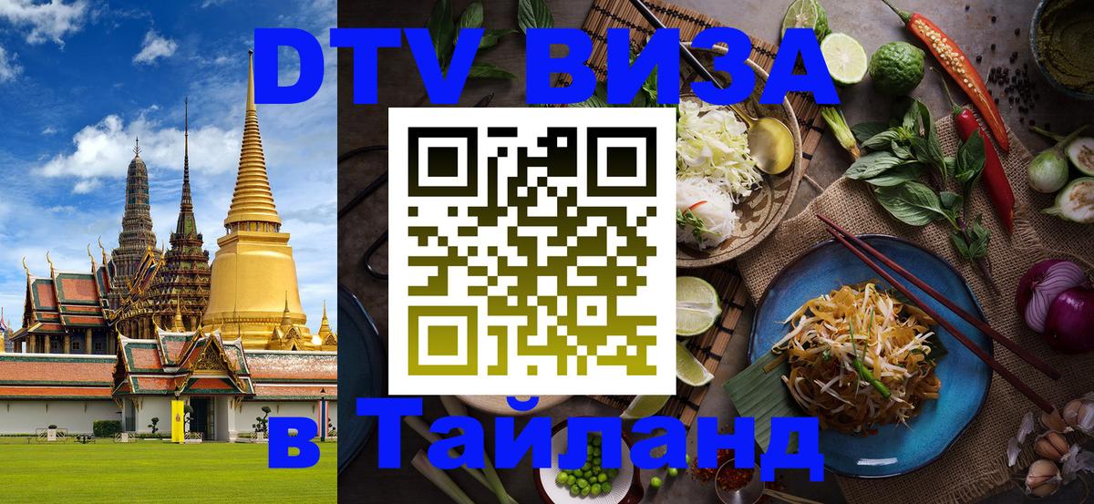 Сколько стоит DTV виза — актуальные цены, оформление даже без документов - Новосибирск  21.11.2025 
